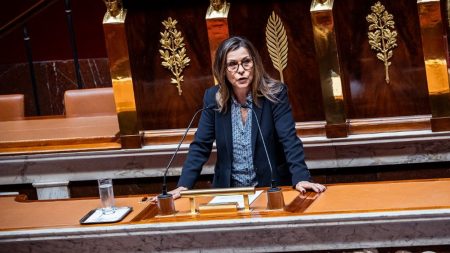 Aide sociale à l'enfance : "Il manque 30 000 postes", alerte la députée socialiste Isabelle Santiago